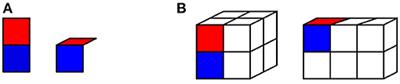 A Neural Network Model for Learning 3D Object Representations Through Haptic Exploration